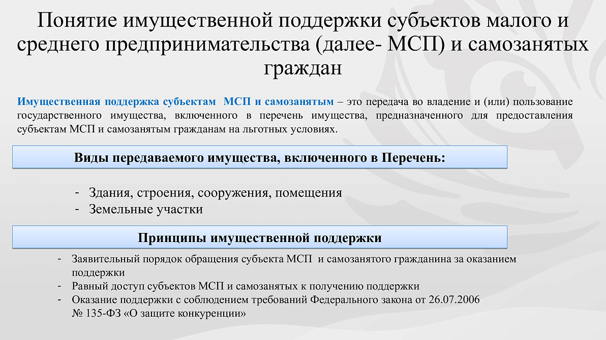 Имущественная поддержка: центр «Мой бизнес» Приморского края